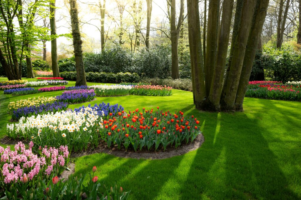 garden designer Blue Mountains