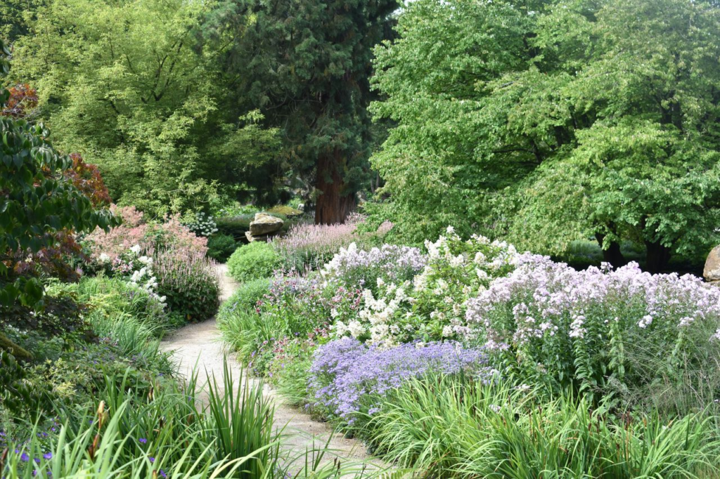 professional gardeners Blue Mountains