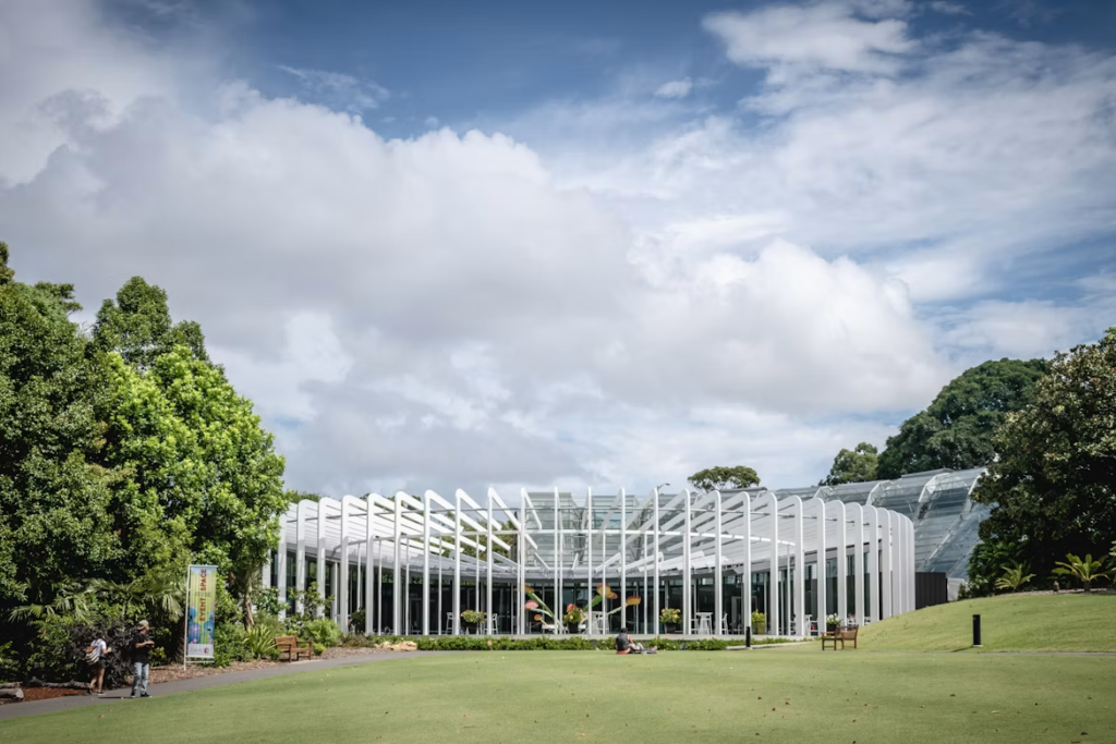 landscapers Blue Mountains